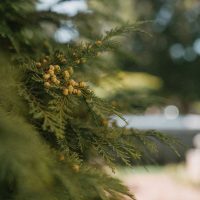 VILLAMARANGAMEDENCE-élénkkék(18)